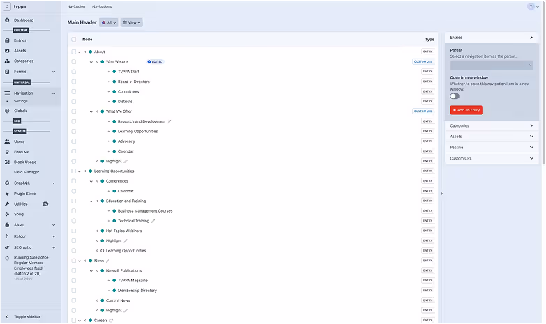 The Webflow CMS dashboard for managing site content.